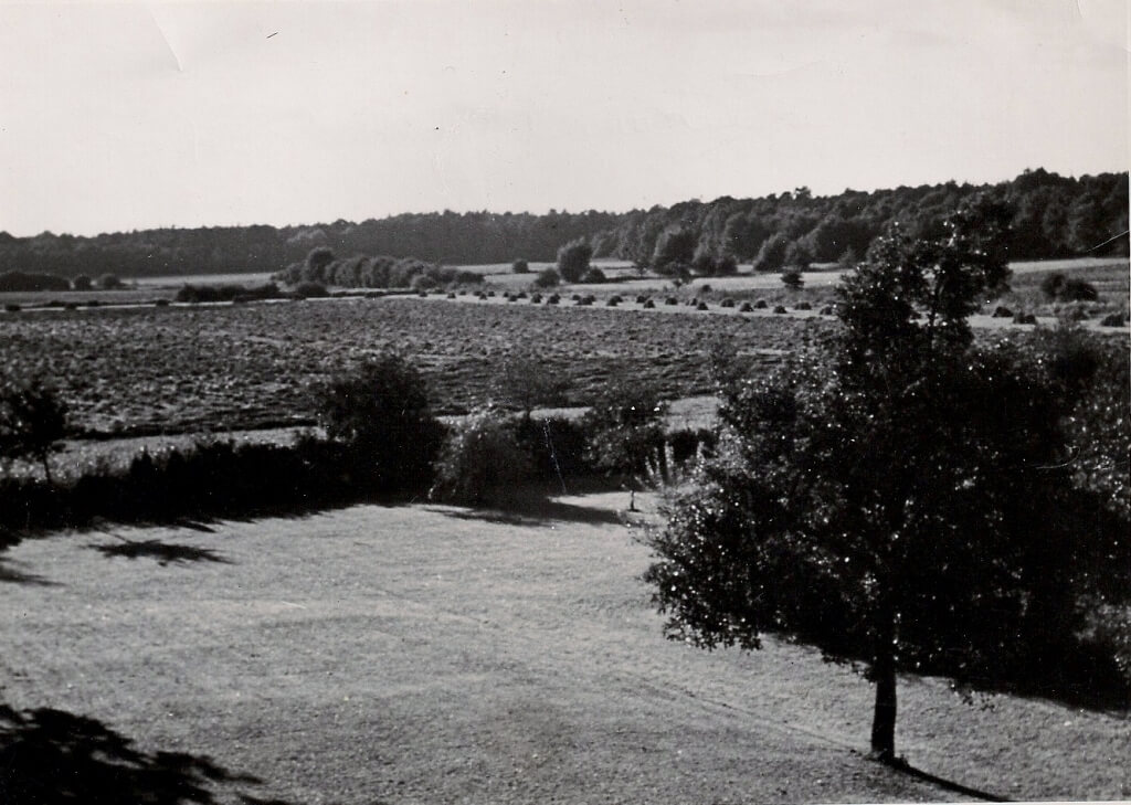 Blick-aus-Wohnzimmer-Gut-Lohne-jetzt-Golfplatz-1024x729 Golfplatz Isernhagen im Aufbau