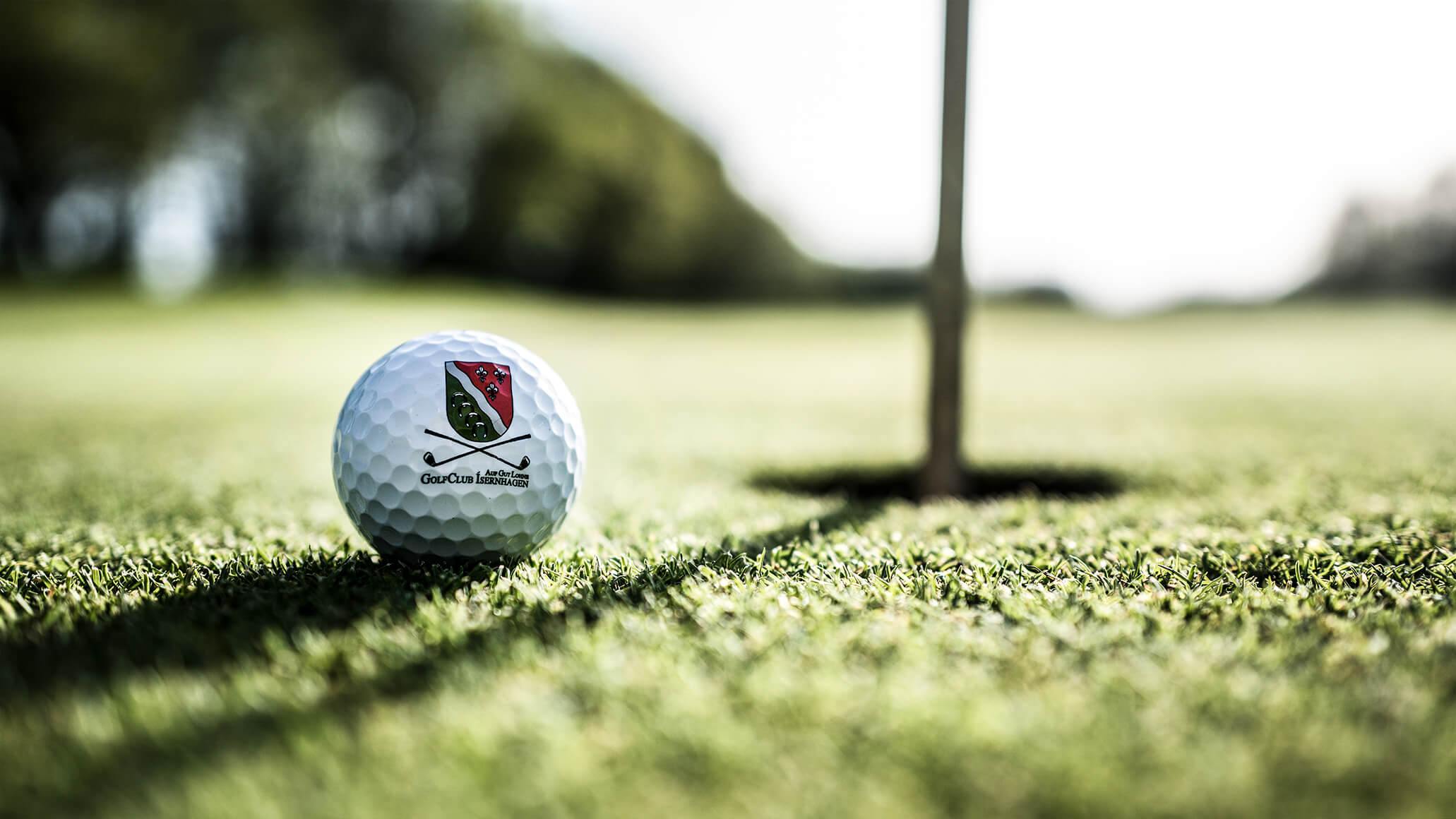 Logaball auf Grün