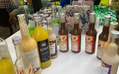 DiDaGo offenes Turnier: Schoko-Chili-Cup am 26.8.2025